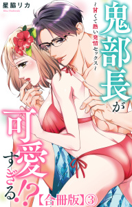 鬼部長が可愛すぎる!?～甘くて熱い発情セックス～【合冊版】3の表紙