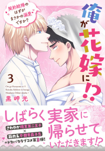 俺が花嫁に！？ 契約結婚のはずがまさかの溺愛ですか？【単行本版】３【電子限定特典付き】,raw