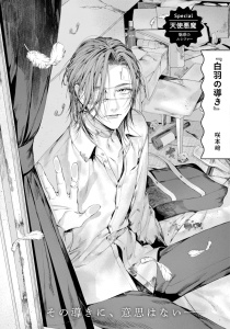 白羽の導きの表紙