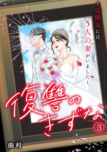 復讐のきずな～完璧夫には５人の妻がいました～(3)の表紙