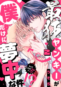 最狂ヤンキーが僕だけに夢中な件！？(2)無料マンガ表紙,raw