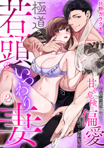 極道若頭のいつわり妻～拾われた花嫁は、甘く危険な偏愛から逃げられない【TL版】(2)無料マンガ表紙,raw