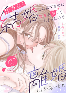仕方なく結婚したはずなのに貴方を愛してしまったので離婚しようと思います。１２の表紙
