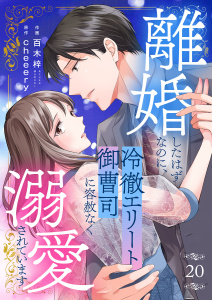 離婚したはずなのに、冷徹エリート御曹司に容赦なく溺愛されています２０の表紙