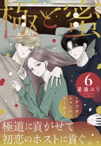 極と蜜～アフターシャンパンコール～（６）の表紙