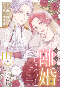 だから、離婚しようと思います（３）【おまけ描き下ろし付き】の表紙