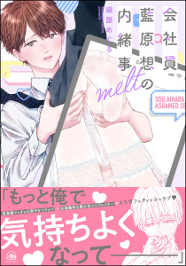 【期間限定　試し読み増量版　閲覧期限2025年8月13日】会社員 藍原想の内緒事 melt【電子限定かきおろし漫画3P付】,raw