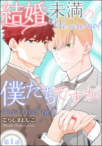 【期間限定　無料お試し版　閲覧期限2026年4月30日】結婚未満の僕たちですが（分冊版） 【第1話】の表紙