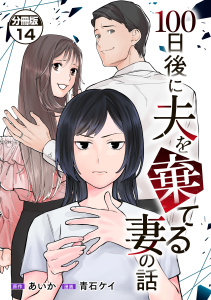 １００日後に夫を棄てる妻の話　分冊版（14）の表紙