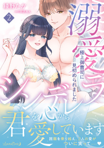 新刊【TL漫画】溺愛シンデレラ 極上御曹司に見初められました 2,raw,無料,原作:田沢みん,綾野たか,ルネッタコミックス