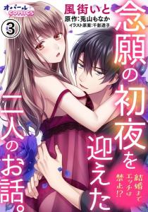 結婚までエッチは禁止!?　念願の初夜を迎えた二人のお話。3無料マンガ表紙,raw