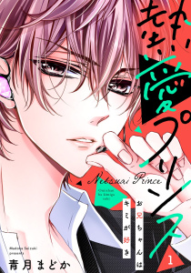 【期間限定　無料お試し版　閲覧期限2025年12月29日】【単話売】熱愛プリンス お兄ちゃんはキミが好き 1話の表紙