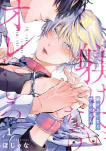 躾けたいならオレにしろ（１）の表紙