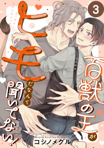 百獣の王がヒモだなんて聞いてない！（３）の表紙