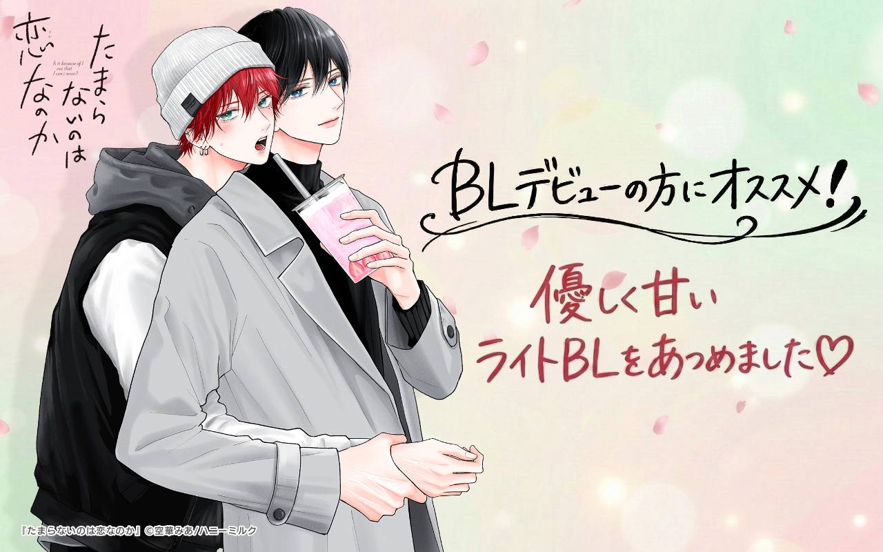 BLデビューの方にオススメ!優しく甘いライトBLをあつめました♡