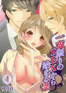 一夜限りのＳＥＸから始まる恋（１）の表紙