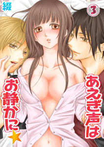あえぎ声はお静かに★（３）の表紙