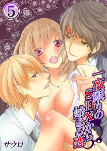一夜限りのＳＥＸから始まる恋（５）の表紙