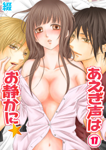 あえぎ声はお静かに★（17）の表紙