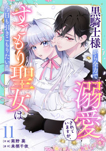Berry's Fantasy 黒騎士様から全力で溺愛されていますが、すごもり聖女は今日も引きこもりたい！（分冊版）11話,raw