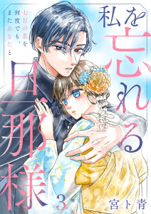 私を忘れる旦那様～七日の恋を何度でも、またあなたと（３）の表紙